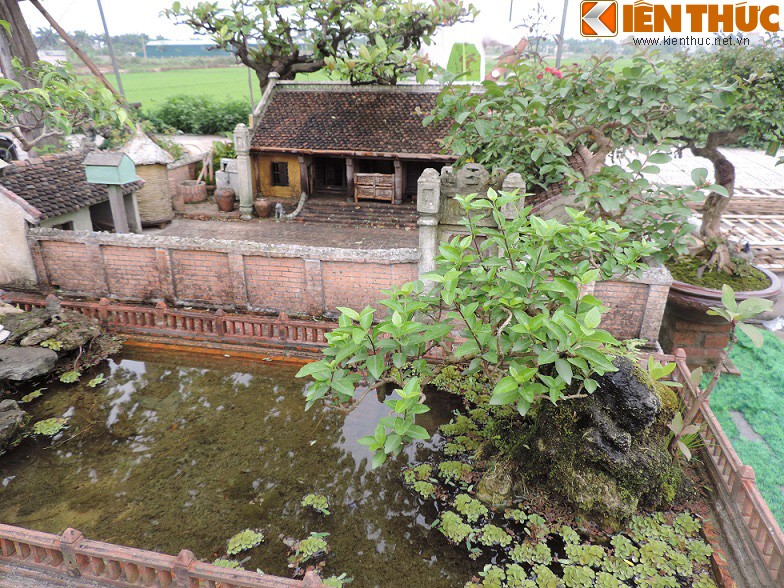 Tieu canh tu bonsai dep me hon cua nghe nhan Hai Phong